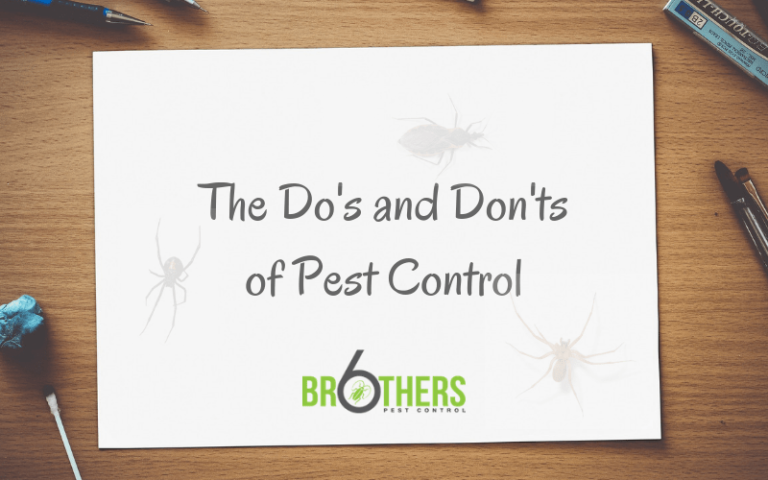 pest control dos and donts pest control do’s and don’ts